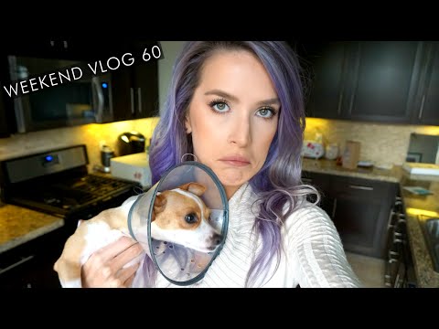 Luna's Surgery Drama | weekend vlog 60 | LeighAnnVlogs