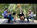 Concerning Hobbits - Lord of the Rings (String Quartet Cover)
