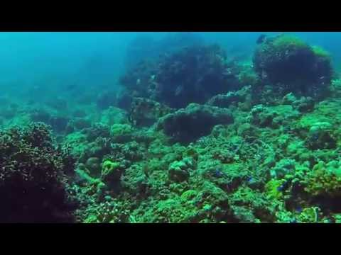 Turtle Island + Juliens Wrack