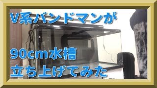 V系バンドマンが90cm水槽立ち上げてみた