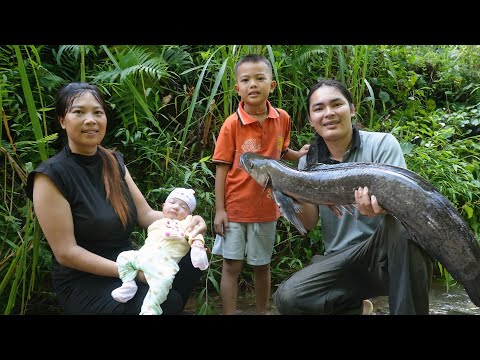 Fresh Stream Fish Helps Postpartum Recovery: Cooking for Wife and Child, Farm Life, SURVIVAL ALONE