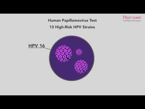 Papillomavirus avis