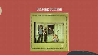 Ginseng Sullivan - New Grass Revival