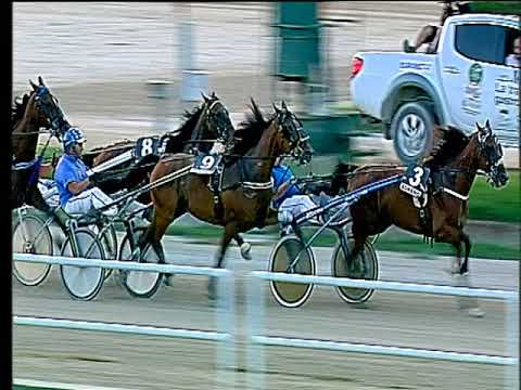 Trotto 23/06/2018 - 7ª corsa