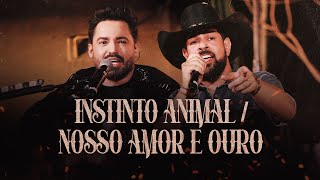 Ouvir Instinto Animal/ Nosso Amor é Ouro Fernando e Sorocaba