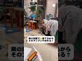 静かにしてほしい飼い主さん VS ブンブンしたい犬　　　#犬　#面白い犬 #犬のいる暮らし #面白い　#ダックス