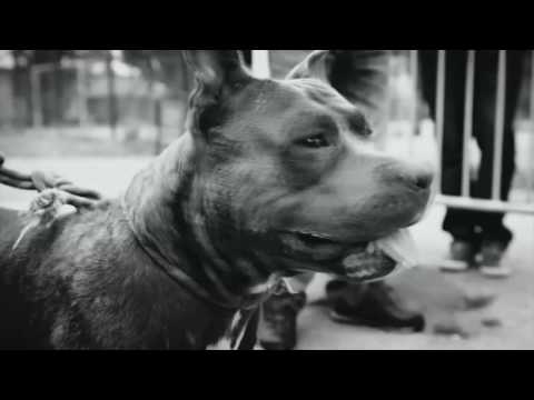 EL PATRON ( ECCC) feat. PABLO MILES - GANGSTA