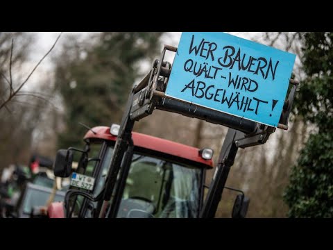 Europaweite Bauernproteste: Wieso wird demonstriert?