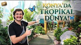 Konya’da 10 Bin Kelebeğin Arasında! | Tropikal Kelebek Bahçesi