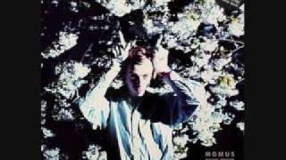 Momus - The Homosexual