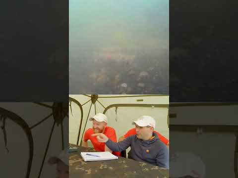 FIRST EVER Fishing Gurus Underwater goes LIVE at 5pm tomorrow ⏰