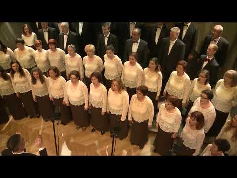 HPGD Zoranić, Zadar - Lipe li su Zadranke divojke