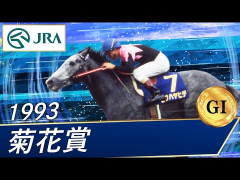 1993 Kikuka Sho (GⅠ) | Biwa Hayahide | JRA Official