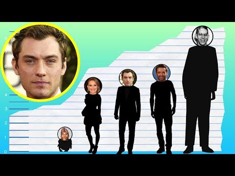 download lagu mp3 mp4 Jude Law Height And Weight, download lagu Jude Law Height And Weight gratis, unduh video klip Jude Law Height And Weight