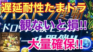 【パズドラ 】スキル遅延耐性たまドラ大量確保‼︎観ても絶対損しません‼︎上級者〜初級者必見‼︎【スキル遅延耐性】【観ないと損！】