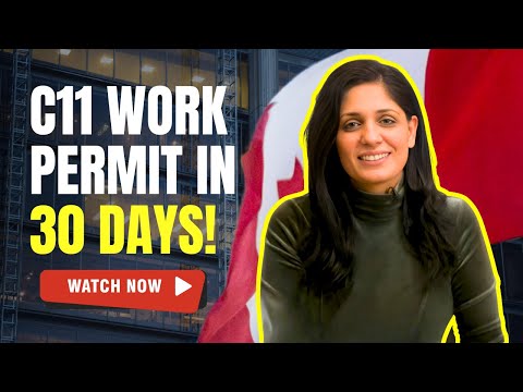 Get Your C11 Work Permit in Just 30 Days with This Simple Trick