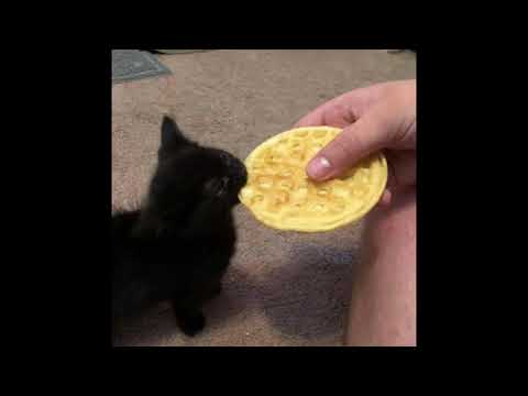 Drill x Tread x Fast type beat (prod. @okthxbb & @dj.topy & @10bandstiffany)