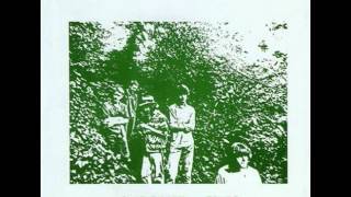 Camper Van Beethoven - Chain of Circumstance