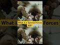 What is a Special Forces 18D? (Medical Sergeant)