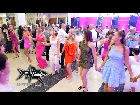 Nikola Lukic i orkestar AJKULE - veliko kolo u Loznici