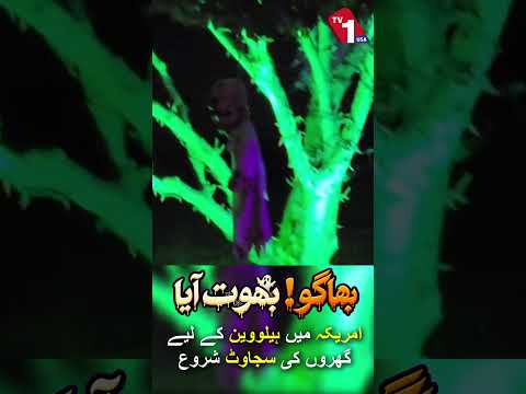 ریاست ہائے متحدہ امریکہ میں گھروں کے اندر ہیلوین کی سجاوٹ کا آغاز ہو گیا ہے۔