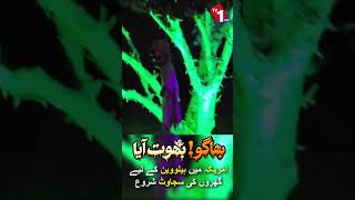 ریاست ہائے متحدہ امریکہ میں گھروں کے اندر ہیلوین کی سجاوٹ کا آغاز ہو گیا ہے۔