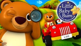 The Bear Went Over The Mountain | Nursery Rhymes | By LittleBabyBum!