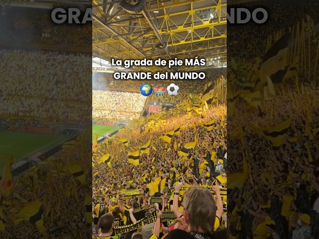 Vídeo relacionado con Borussia Dortmund Puzzle de estadio en 3D, Unisex, Negro/Amarillo