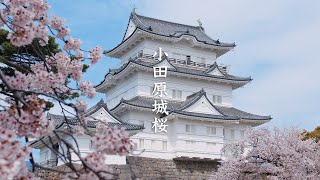 Odawara Castle video preview