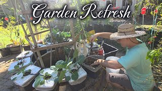 Garden Refresh & Hydroponic Overhaul | Making Room for Fall Brassicas