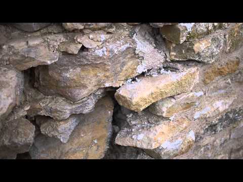 Mur en pierre et mortier de chaux, à remonter et rejointoyer