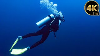 Bill Nye The Science Guy | Respiration