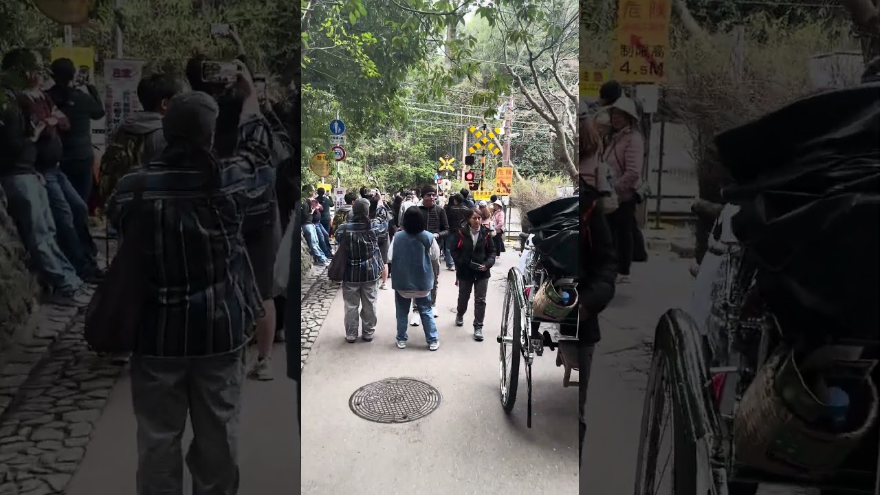 外国人観光客で大混雑する、嵯峨野「嵐山竹林の小径」の山陰線踏切のあたり