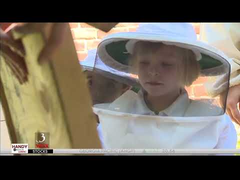 WCAX Archives : Learning about bees : Aired 6-23-2016