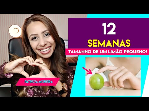 12 WEEKS PREGNANT | Patrícia Moreira - Good Pregnancy