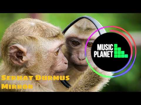 14 Most Insane Drops Of All Time