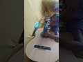 Como Ele Toca Muito Eu Vou Morar No Ceu Musica Gospel