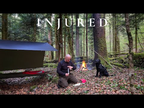 2 DAY Bushcraft in Forgotten Forest Canyon - Raised Bed - Good Food