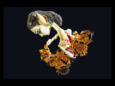 Yasmine Hamdan - Hon هون (Official Music Video)