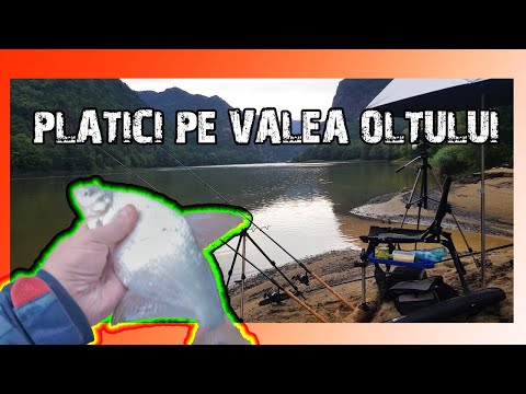 Bream fishing in the Olt Valley