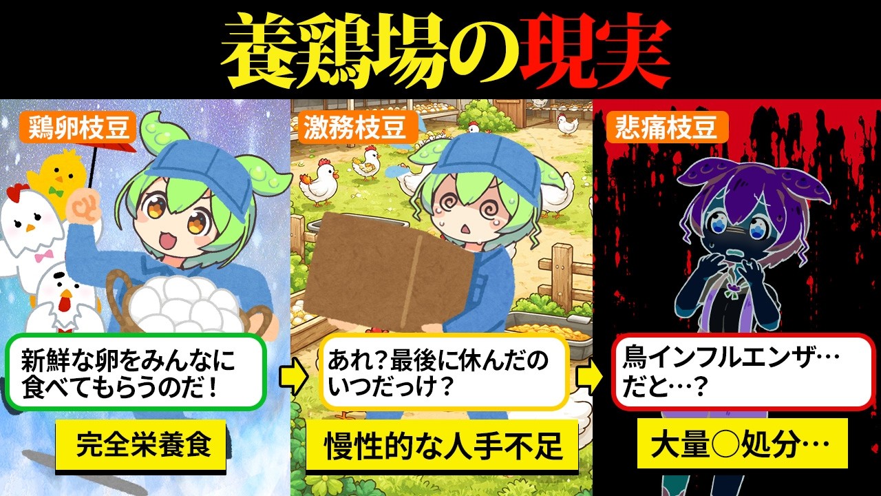 養鶏場に勤めてみたけど、常に人出不足で激務だし、可愛がった鶏とのお別れは想像以上のツラさだった…【ずんだもん&ゆっくり解説】