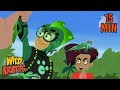 Every Creature Rescue Part 4 | Protecting The Earth's Wildlife | Wild Kratts