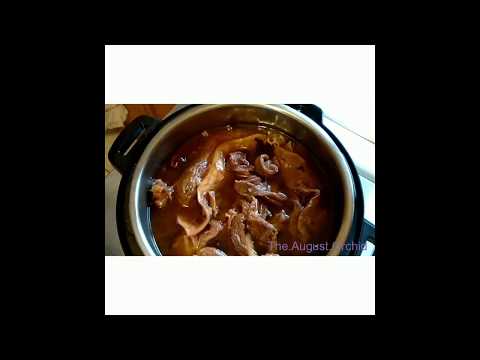Instant Pot Cooking - Beef Brisket and Tendons Stew