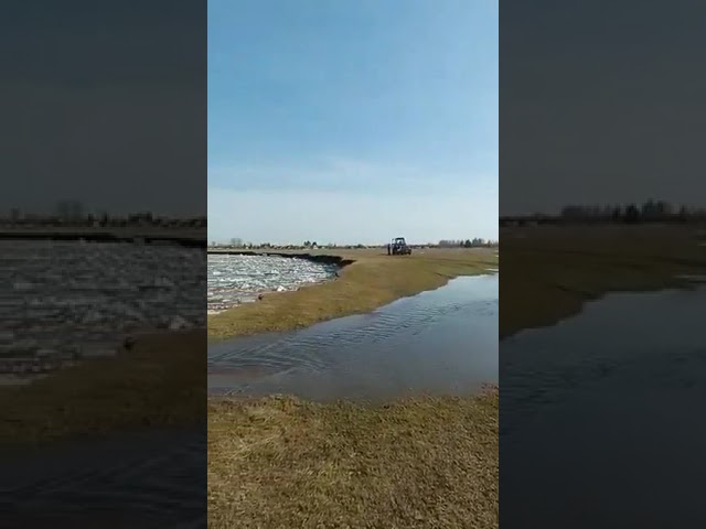 ?Весна идёт, весне - дорогу!