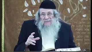תורה אור פ' נח ד"ה ויאמר ה' חלק ד הרב מנדל וועכטר שנת תש"פ