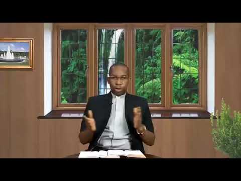 THE DAILY FOUNTAIN OF SUNDAY AUGUST 13, 2017