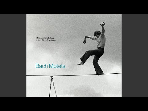 Komm, Jesu, komm, BWV 229