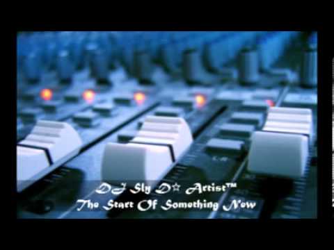 DJ Sly Da Artist - The Start Of Something New