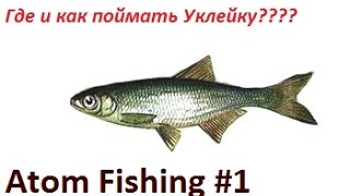 Где и на что ловить уклейку в атом фишинг