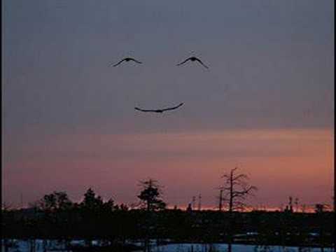 The Dream & Dear Jayne "Fall Back"